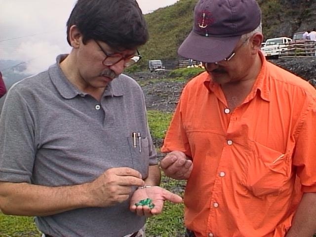 Selecting quality colombian emeralds